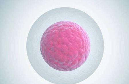 卵巢多囊想怀孕需要注意什么