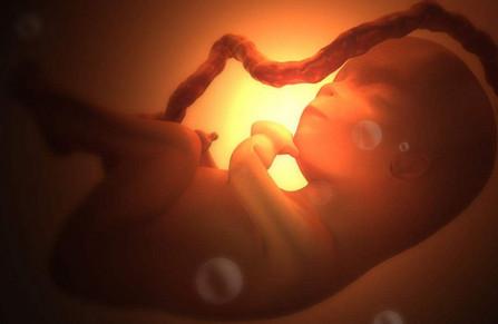临近预产期胎儿是什么情况