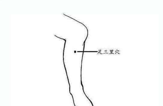 小儿推拿足三里位置