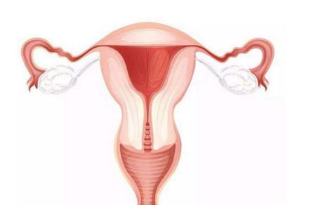 卵巢囊肿分类有几种