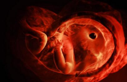 胎儿发育偏小是什么原因