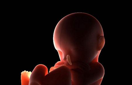 怀孕二十九周胎儿发育情况