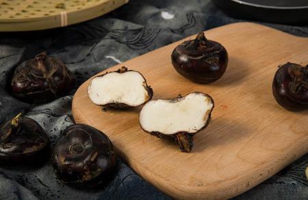 男孩姓朱取什么名字好