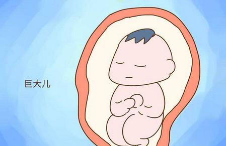 孕晚期想要避免营养过剩怎么办