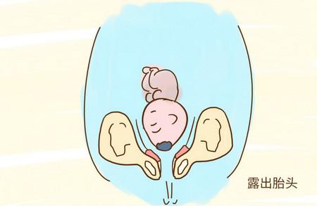 关于胎儿入盆的小知识有哪些