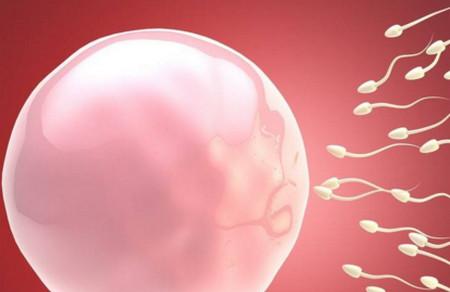 大龄女性怎么养卵子