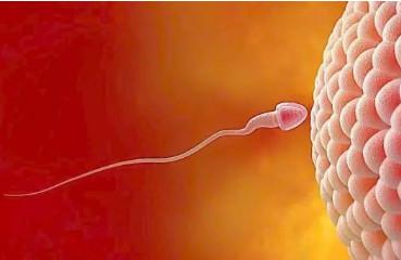 排卵期同房怎么能增加中奖概率？