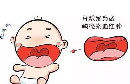 宝宝长牙护理怎么做