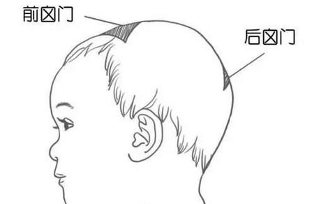 护理宝宝囟门怎么办