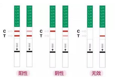 排卵试纸测不到强阳是为什么？