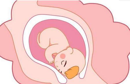 胎儿出生的方式什么时候能确定