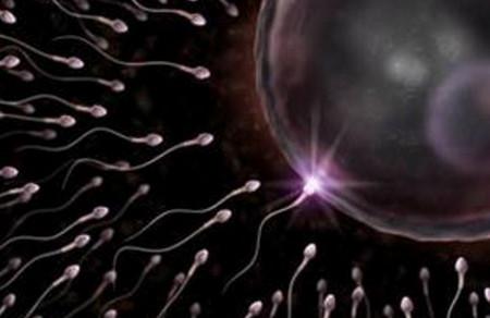 白带拉丝就是在排卵吗