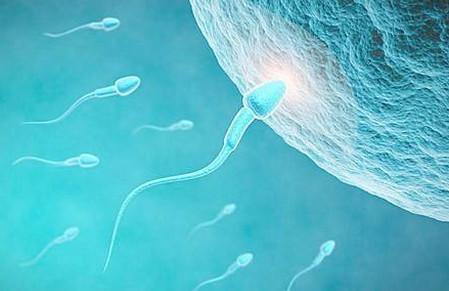 备孕男性如何让自己的精子更健康？