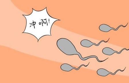 前列腺分泌物会导致怀孕吗 安全期避孕法也会怀孕吗？