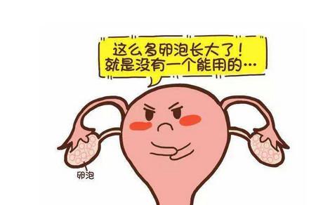 想要保护卵巢该怎么办
