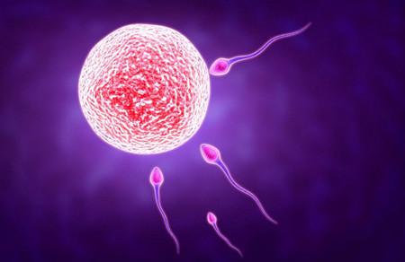 什么时候精子卵子最容易相遇呢？
