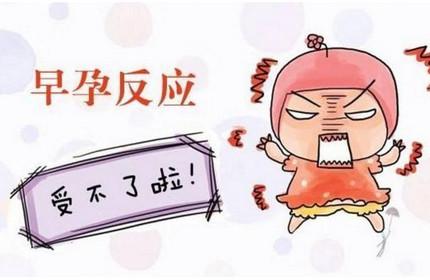 怀孕成功的情况有哪些