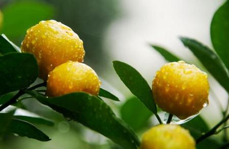 孩子早上不适合吃这几种食物
