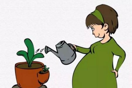 分娩分为几个产程 分娩产程的三个分期