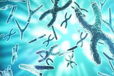 染色体检查有必要做吗