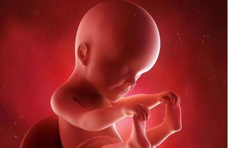 胎儿发育迟缓的原因