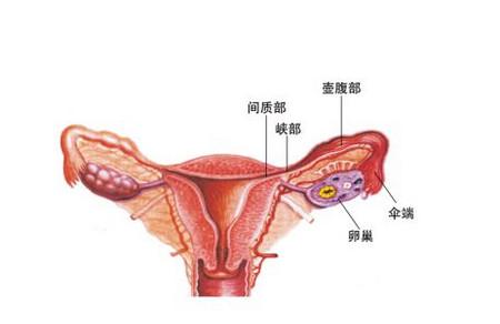 输卵管通而不畅影响怀孕吗