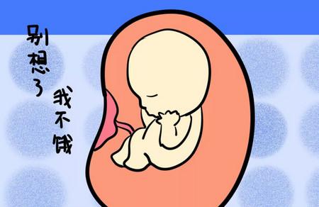胎宝宝营养不良孕妈有什么症状