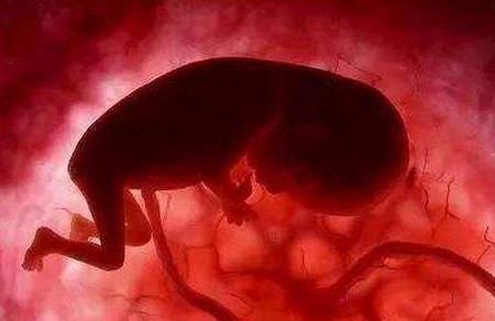 胚胎停育是什么原因？