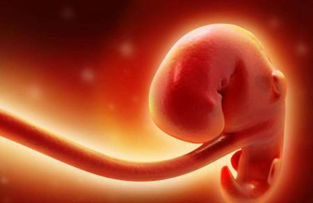 孕期为什么会出现胎停育？