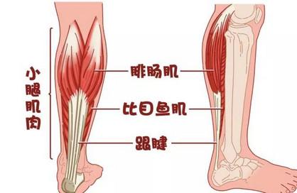 孕期腿抽筋的真正原因是什么