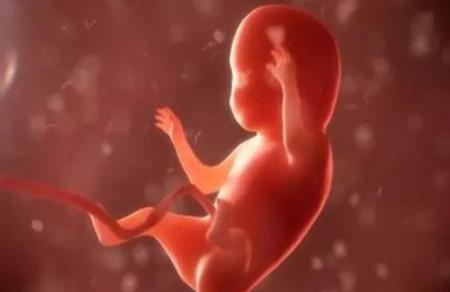 孕期如何数胎动？