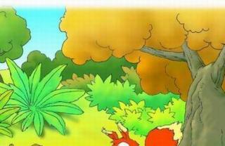 奇怪的花生的睡前故事