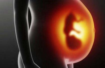 怎么掌握胎儿的发育情况