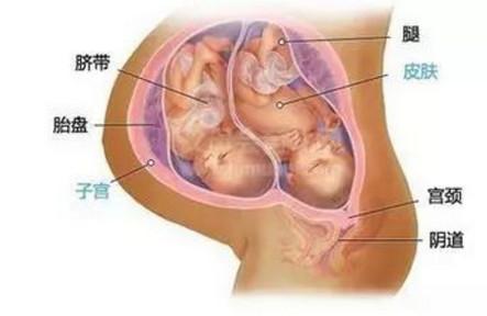 精子活力太强也难怀孕？
