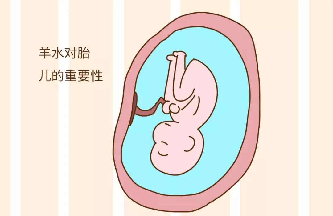 羊水指数多少正常