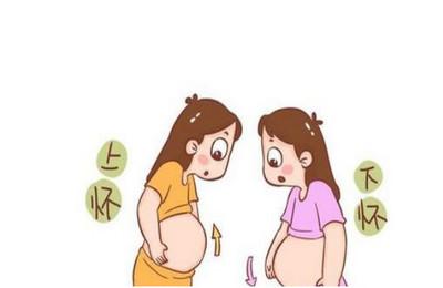 怀孕后上怀和下怀是怎么回事