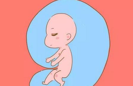孕妇睡觉的时候胎儿在做什么