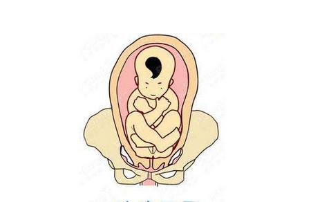 怎么判断胎儿位置的方法