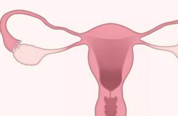 哪类女性最容易发生子宫内膜增厚？