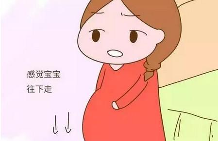 如何判断胎儿入盆与否