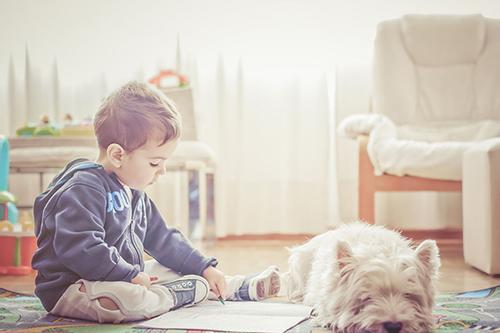 怀孕能不能养狗狗