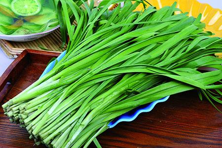 孕妇血糖高能吃韭菜吗