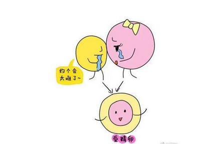 关于受精卵着床的小知识有哪些
