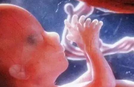 孕早、中、晚期胎儿最怕三件事