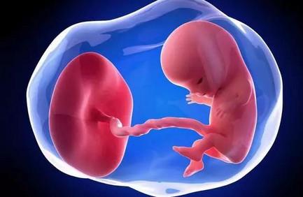 孕期做运动对胎儿智力有影响吗