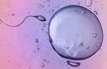 排卵障碍应该如何备孕？