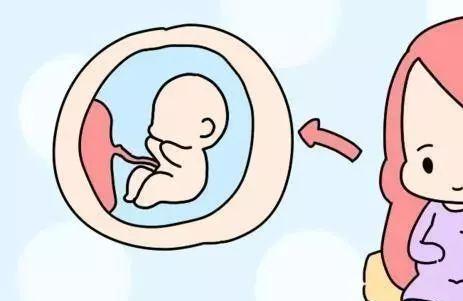 孕妇可以经常摸肚子吗