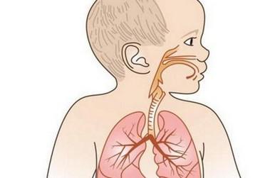 宝宝支气管炎和肺炎的区别