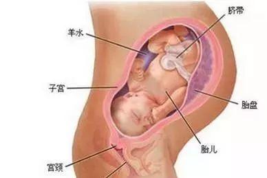 产前内检怎么检查