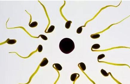 怎么知道自己是不是排卵期